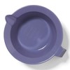 ion Purple Hair Color Mixing Bowl