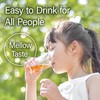 Hojicha Tea, Roasted Green Tea, Low Caffeine, JAS Certified Organic,
