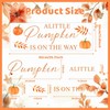 A Little Pumpkin is On The Way Decal