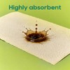 ECOlipak Paper Towels - 8 Rolls, 2 Ply 120 Sheets-