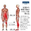 Heal foot Ergonomic 3D Arch - Support Insole
