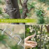 Bipl Pack of 30 Branch Separators for Fruit Trees, 13/10/8