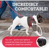 Harness Lead No Pull Dog Harness and Leash Set, Anti