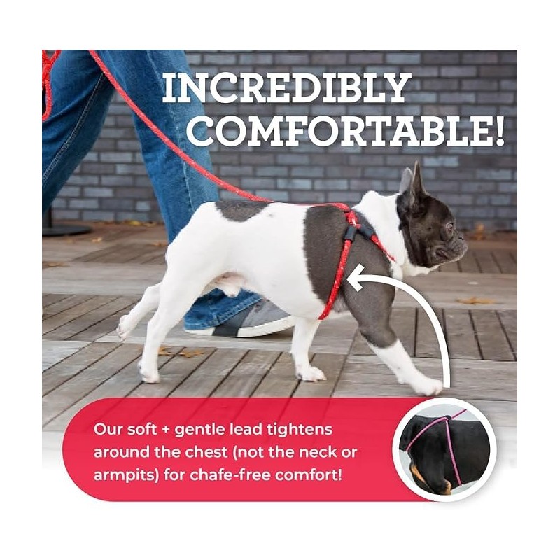 Harness Lead No Pull Dog Harness and Leash Set, Anti