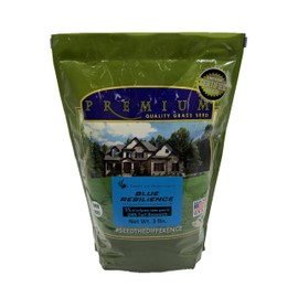 Twin City Seed Co. Blue Resilience, Tall Fescue & Kentucky Bluegrass Mixture, 3 lb Bag