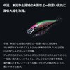 Daiwa Mountain Stream Minnow Silver Creek Minnow 61S P Yamame