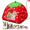 Guinea Pig Bed Rabbit Hideout Cozy Hamster Cave Leash Accessories