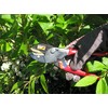 Meister Garden Shears with Anvil Blade - Suitable for Dry