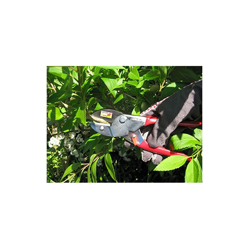 Meister Garden Shears with Anvil Blade - Suitable for Dry