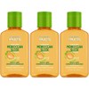 Garnier Fructis Sleek & Shine Moroccan Sleek Oil Treatment, 3.75
