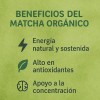 Matcha Orgánico En Polvo | Té Verde Premium, 100g Burchers