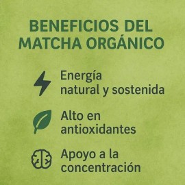 Matcha Orgánico En Polvo | Té Verde Premium, 100g Burchers