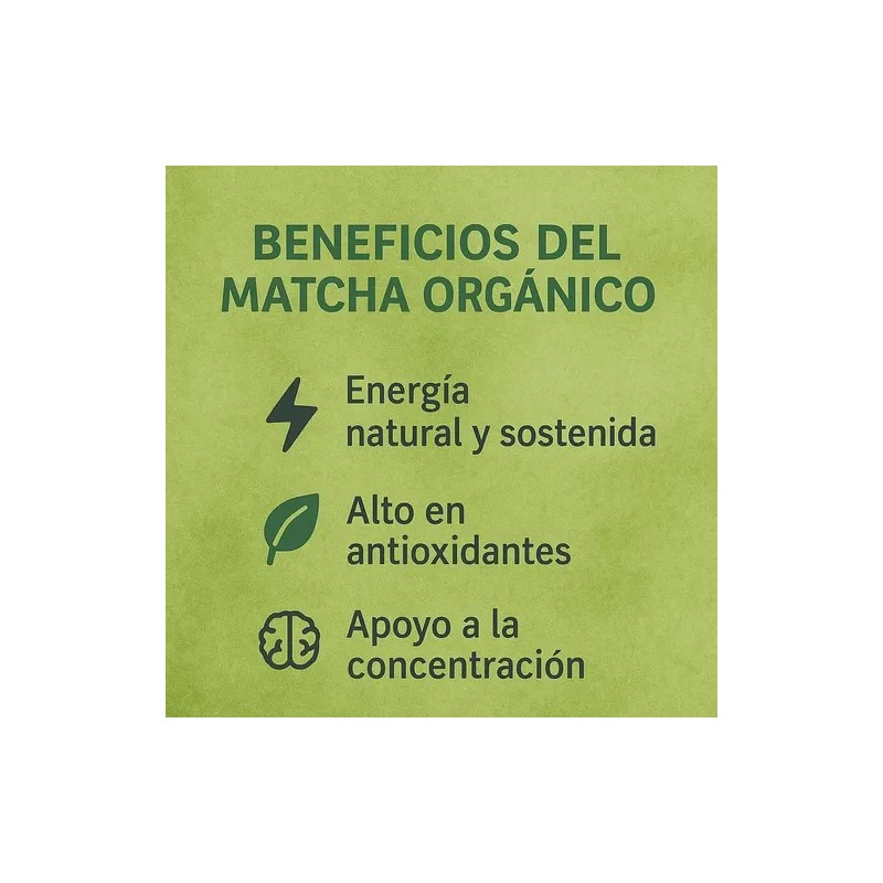Matcha Orgánico En Polvo | Té Verde Premium, 100g Burchers
