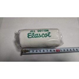 Elascot No. 4 (3.9 x 1.8 ft (10.0 x 4.5 m)