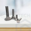 PROTECH Carriage Bolts DIN 603 M8 x 70 Stainless Steel