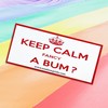 Gay Pride Novelty Bumper Stickers Keep Calm Fancy a Bum