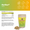 Leber Kur 360 Kapseln mit Mariendistel-Extrakt hochdosiert, Triphala und Bacillus