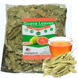 Gabio Green Dried whole Guava leaves Hojas de guayaba Natural Guava leaves Tea, Gabiogreen - 2 oz