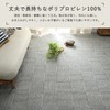 Glam Style Carpet, Can Be Cut, Washable, Floor Heating Compatible,