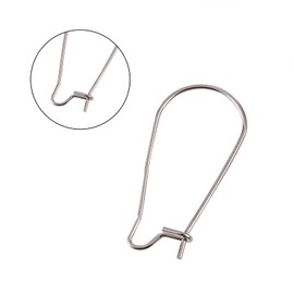 LiQunSweet 100 PCS 25mm (1 Inch) 304 Stainless Steel Hoop Earrings Findings Kidney Ear Wires for DIY Jewelry Making Components - 21 Gauge