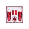 BTM 다안단빛명품발효홍삼3종세트 BTM Supreme Fermented Ginseng 3-Piece Set
