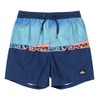 [クイックシルバー] ボードショーツ EVERYDAY WORDBLOCK VL YTH14 ボーイズ BQV8