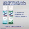 Lysol Lysol Disinfectant Spray, Crisp Linen, 228oz (12X19oz)