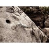 304 Stainless Steel Ring Lifting Anchor Screws, Expansion Anchor Hook