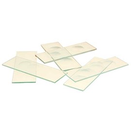 EISCO Microscope Slides with Single Concavity, 10/PK
