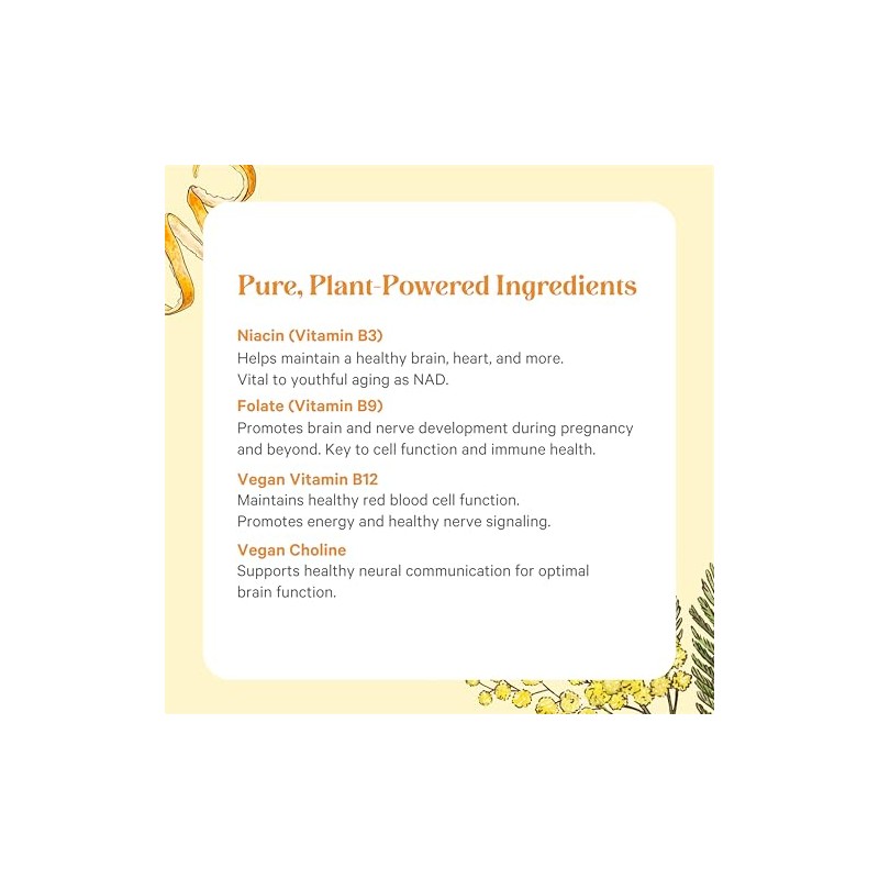 Pure Synergy Super B-Complex Vitamin B Energy & Mood 60