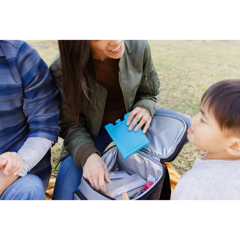 Igloo Maxcold Small Ice Block, 2-Pack, Blue