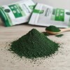 Alga Spirulina Maxima + Moringa Polvo Spiral Spring Orgánica