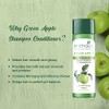 Biotique Green Apple Fresh Daily Purifying Shampoo and Conditioner for