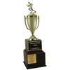 Fantasy Football Trophy - Perpetual