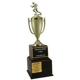 Fantasy Football Trophy - Perpetual