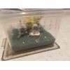 3 Mini enclosure for spider ,baby praying mantis or insect