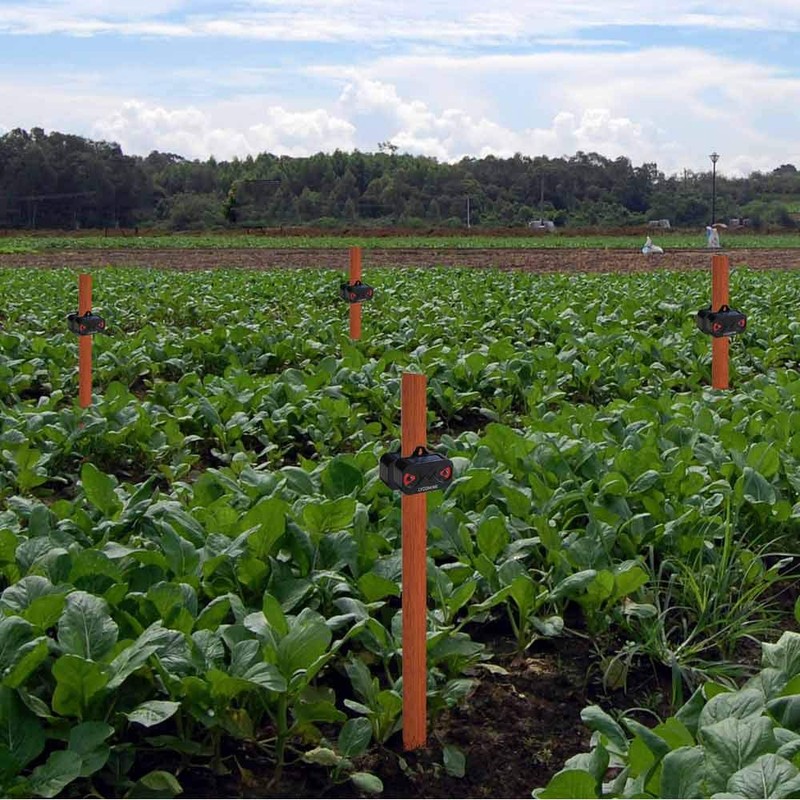 Lycoming Solar Predator Light Devices for Nighttime Animals Solar Predator