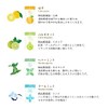 Aroma Scented Aroma Stickers for Masks, Bergamot Scent, Packaging Version