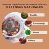 InmuneTea Organic 100g (50 Cups) | Herbal Loose Leaf Tea