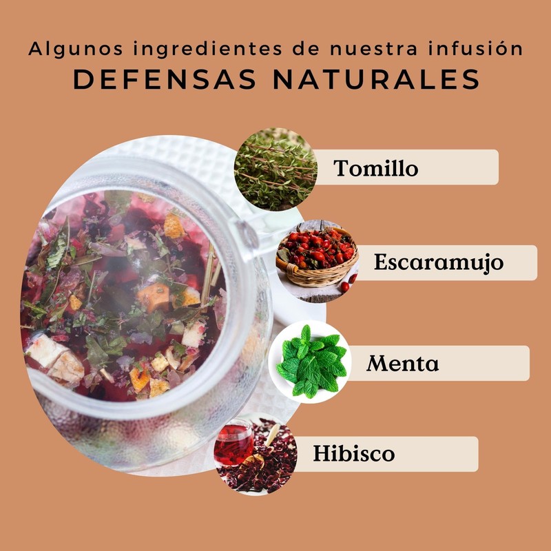 InmuneTea Organic 100g (50 Cups) | Herbal Loose Leaf Tea