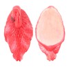 Flamingo Decorations Floating Flamingo Ornaments for Fish Pond Fish Tank