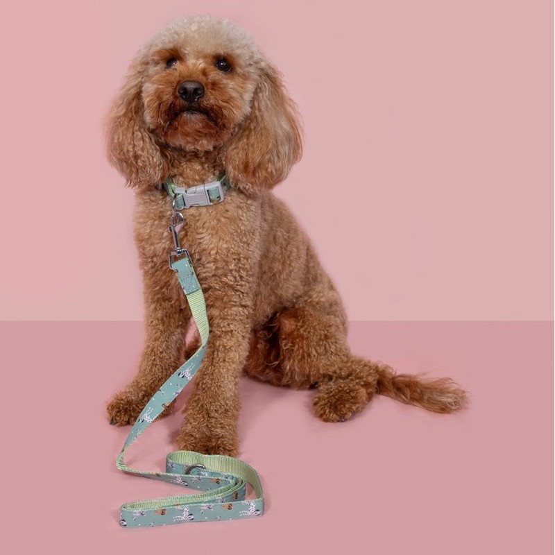 YöL 120cm Lead & Pet Collar With Green Dog Print
