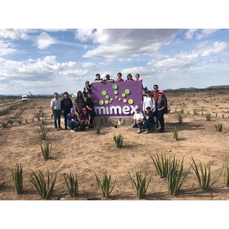 Mimex 3 Botellas, Envío Gratis, Somos Fabricantes