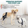 Dog Knee Brace for ACL Support, Adjustable Leg Brace for