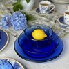 STPGoods Glass Dinner Plates - Set of 4, Blue Cobalt