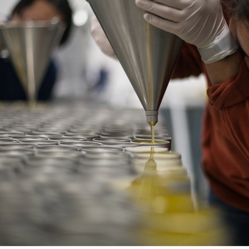 Makes 3 Organics - Organic Coriander Ginger Oatmeal Soap (4-Pack)