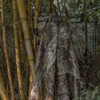 Camo Burlap Blind Material, LOOGU Camo Netting Cover 56 inch
