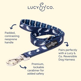 Lucy & Co. 5 Foot Dog Leash - Best Designer Dog Leashes - Leash for Big Dogs, Small Dog Leash, or Medium Dog Leash - Puppy Leash - Dog Accessories - Dog Supplies (Shark Attack, Small)