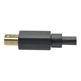Tripp Lite P583-010-BK Mini DisplayPort to DisplayPort Adapter Cable 10 ft, 4K 60Hz, DP 1.2, HBR2, Gold-Plated Latching, Black, PC/Monitor, Cloud Care Pre-Configured Bundle Eligible (10 Pack)