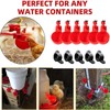 Automatic Feeder and Waterer Set for Chickens Ducks Small Animals,